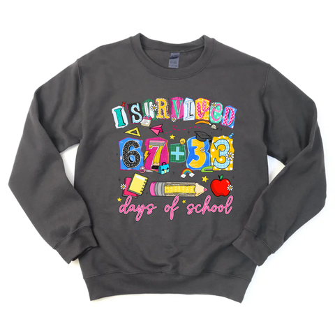 *LIMITED EDITION* I Survived 67+33 Days Of School