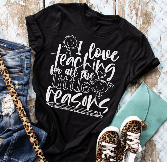 I Love Teaching For All The Little Reasons